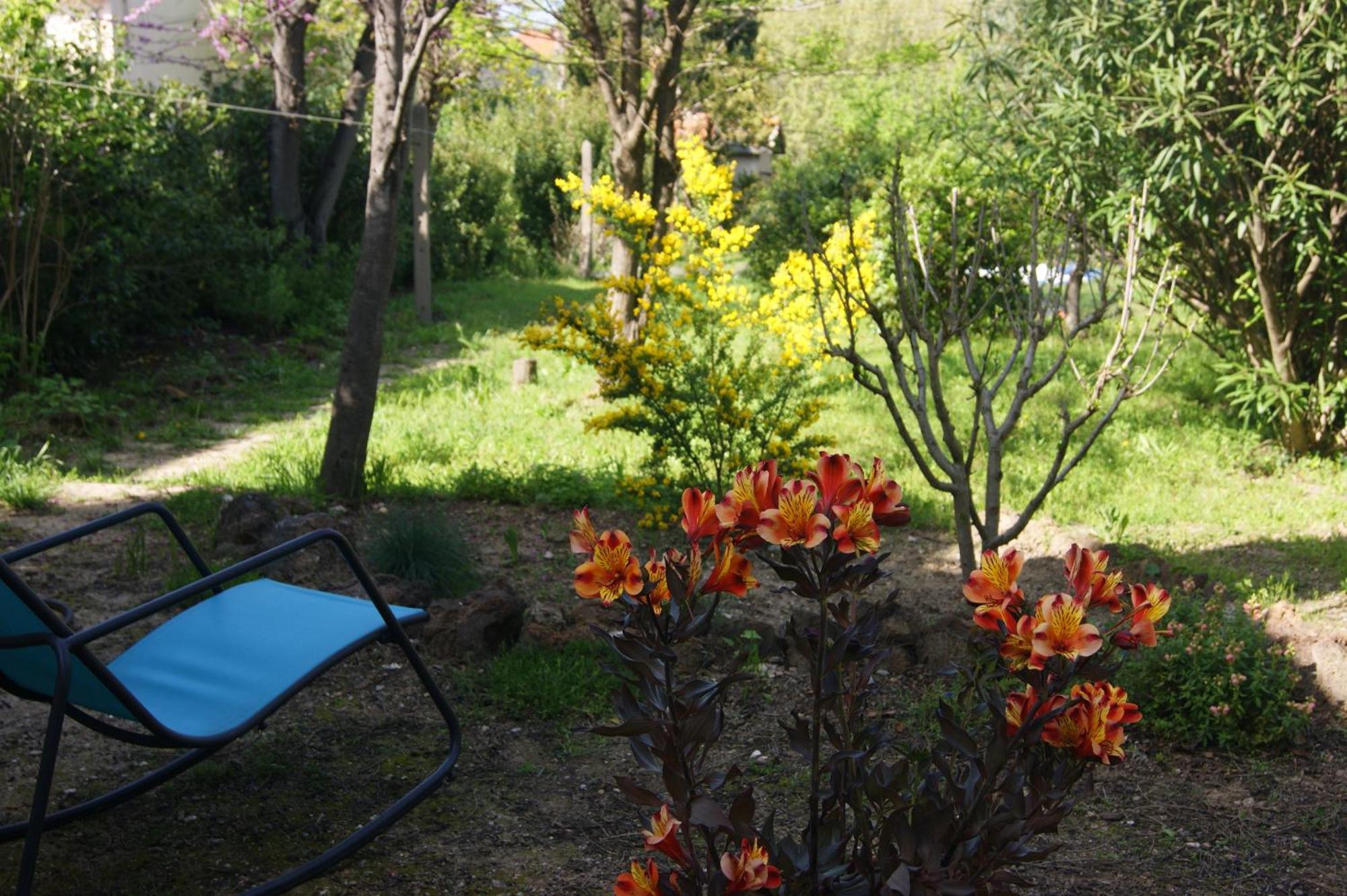 Le Petit Moliere Bed & Breakfast Servian Bagian luar foto